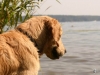1219126726_photo_437
