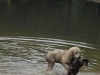 9062755e6f04ff2e32