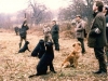 brit-fld-trl-5-dogs-on-peg-l