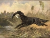 card00601_fr