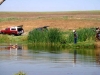 golden-retriever-hunt-test-training4