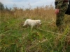 images_0