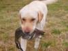 images_1