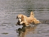 img_0186-version-2