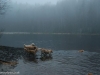 lakeweb