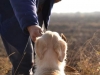 med_gallery_269_131_115373