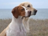 med_gallery_269_131_1275311