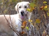 med_gallery_269_131_463528