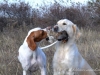 med_gallery_269_131_865186