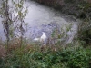 med_gallery_3913_368_2124676