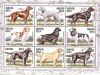 nev9504co-9hunting-dogs