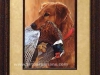 prize-possession-golden-retiever-by-scot-storm-framed-large122192419