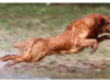 slide_huk_01