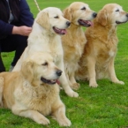 dsc00154
