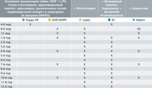 Схема вакцинации
