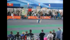Дрессировка